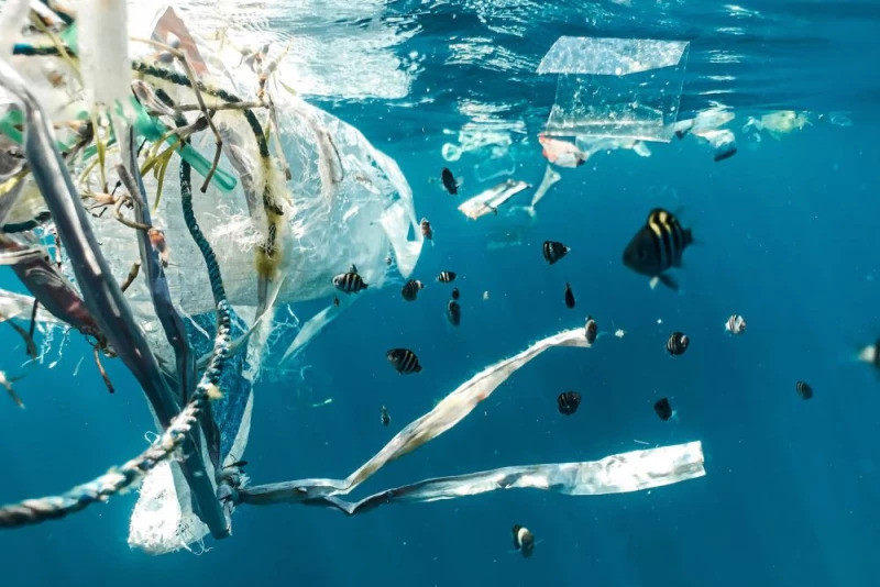 11 mln ton plastiku leży na dnie oceanów